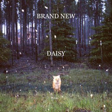 Brand New -  Daisy